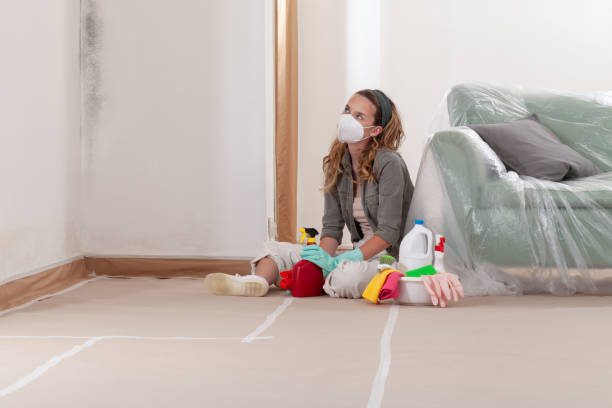 Reliable Crawl Space Mold Removal contractor in Arlington Heights, WA by WQB Mold Removal